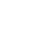 Capture Icon
