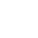 Animation Icon