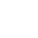 Capture Icon